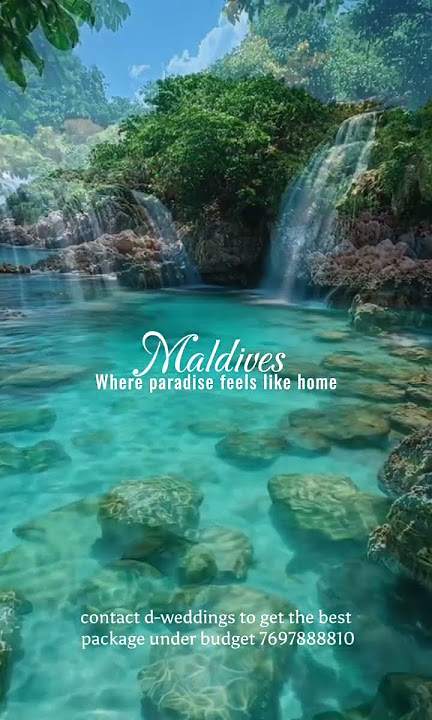 Escape to paradise with us~ Contect number:7697888810