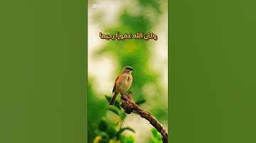 وَكَانَ اللَّهُ غَفُورًا رَّحِيمًا#سورة_الفرقان#محمد_اللحيدان#قران_كريم #قرآن #راحة_نفسية #عصافير