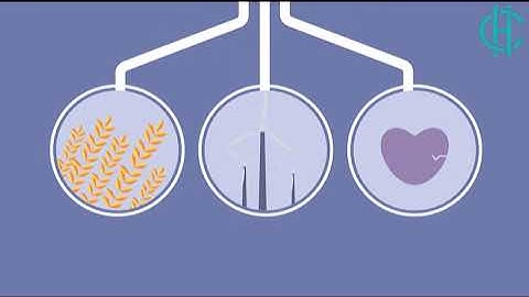 Data Management Infographic Animation
