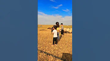 از جوما مالا كالو Em Herrin Gund اكسبلور كوردستان هولير دهوك كوباني بوزان ابو جان 