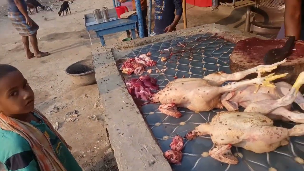 Fresh chicken cutting skill