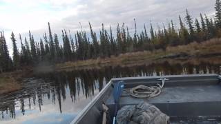 Beaver Dam Jumping