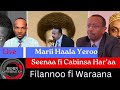 Marii Haala Yeroo Seenaa Fi Cabinsa Har Aa Filannoo Fi Waraana 