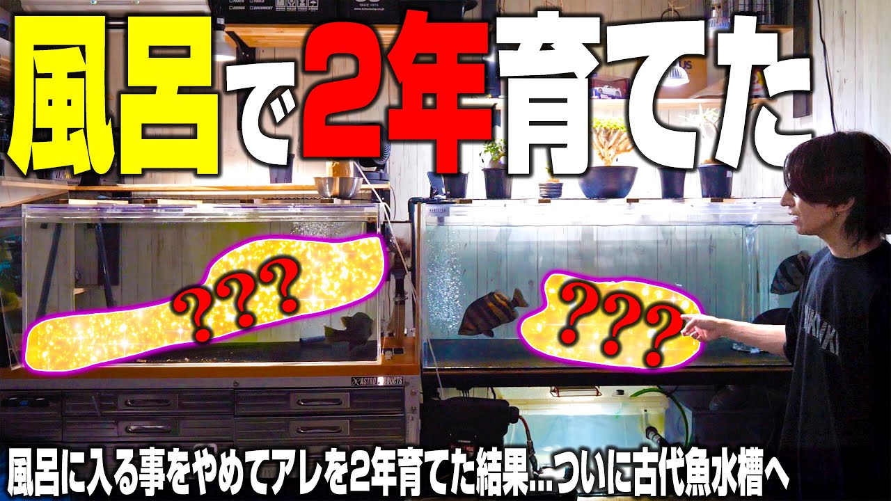 First Reveal] I grew something incredible in my bathtub for two