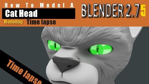 Time Lapse Video How To Model A Cat Head In Blender 2.75 a