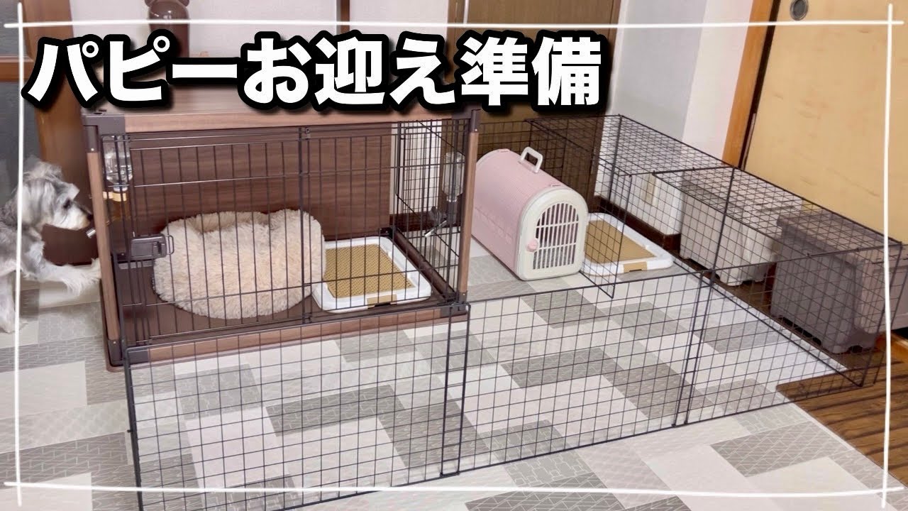 【ダイソーDIY】ワイヤーネットで子犬のケージ増築
