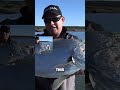 Massive River Kob Catch Before It Changes Color #shorts #fishing