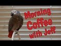 Morning Coffee with Jeff and Einstein Parrot