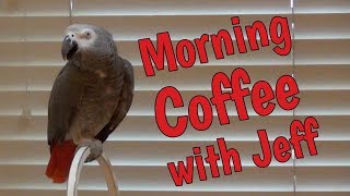 Morning Coffee with Jeff and Einstein Parrot