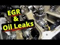 Valve Cover Turned Clogged EGR! VW Golf 1.9 Diesel!