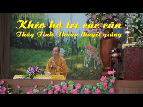 Video Khéo hộ trì các căn - Thầy Tỉnh Thuần thuyết giảng - youtube