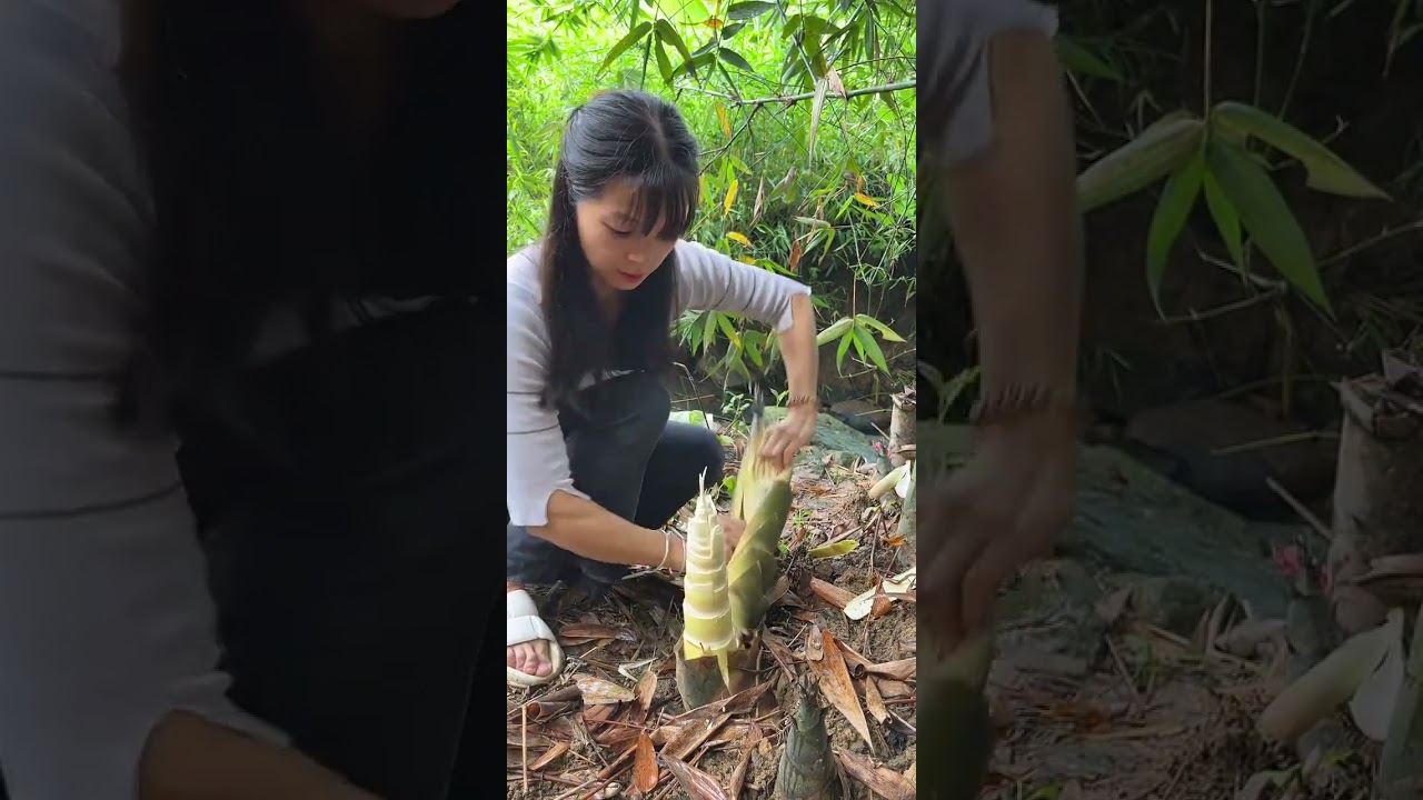 Original ecological agricultural products, bamboo shoots you never get tired of eating