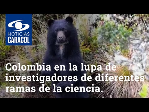 Colombia, hábitat de cientos de especies endémicas