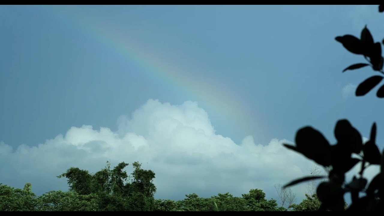 Rainbow Rhythm