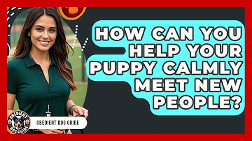 How Can You Help Your Puppy Calmly Meet New People? - Obedient Dog Guide