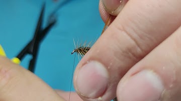 CDC Hot Butt Caddis