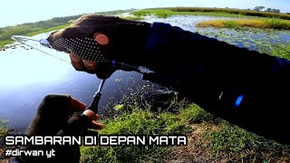 sambaran bertubi tubi nyambar umpan sampai di pinggiran | spot idaman pemancing casting gabus