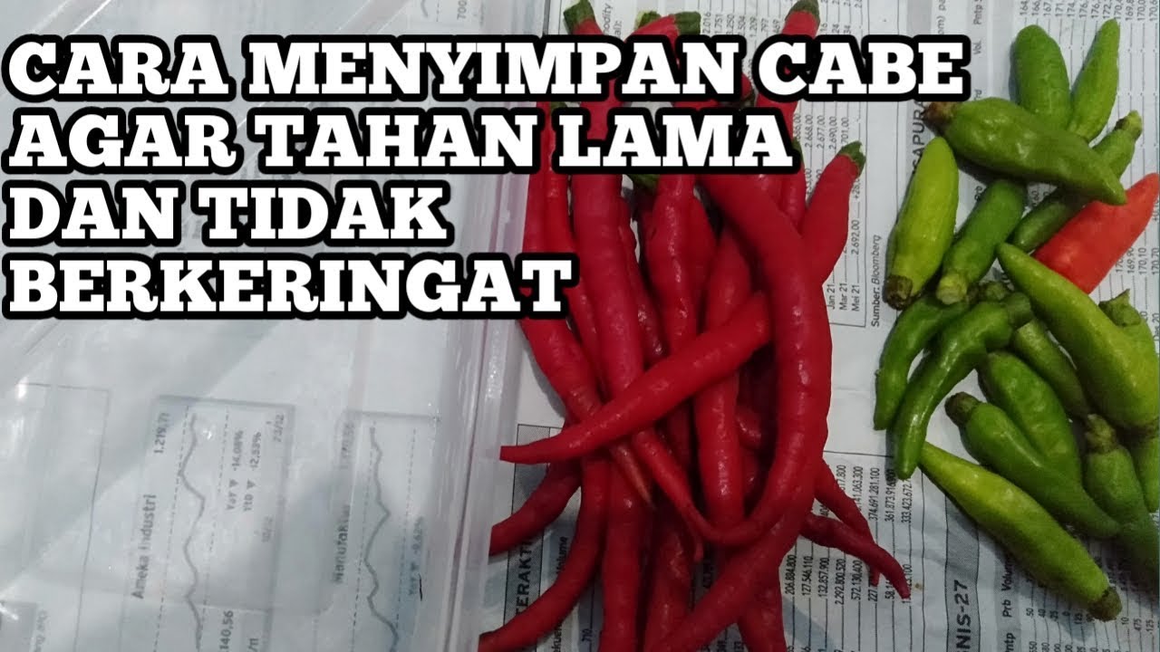 CARA MENYIMPAN CABE AGAR TETAP AWET DAN TIDAK BERKERINGAT 