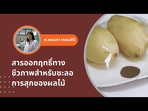 ผลงานวิจัยและนวัตกรรม สารออกฤทธิ์ทางชีวภาพสำหรับชะลอการสุกของผลไม้