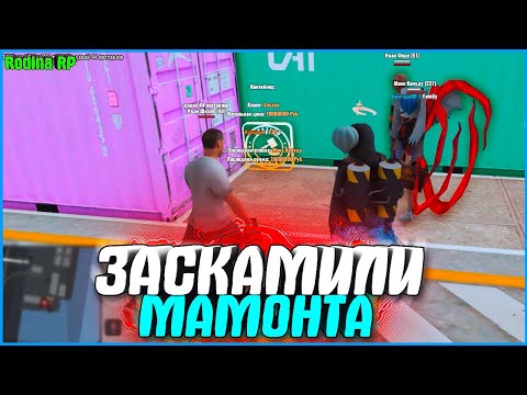 ЗАСКАМИЛИ МАМОНТА НА БАБКИ! ЛОШОК НА КОНТЕЙНЕРАХ! | #858 | Родина RP (CRMP)
