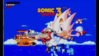 Sonic 3 Complete Debug Glitch 08