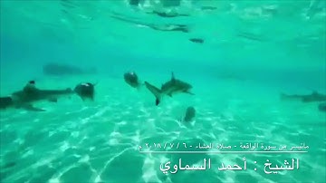 ماتيسر من سورة الواقعة - صلاة العشاء - ٦ / ٧ / ٢٠١٨ م - للشيخ : أحمد السماوي