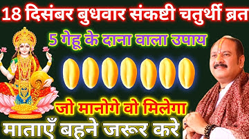 18 दिसंबर बुधवार संकष्टी चतुर्थी व्रत के दिन 5 गेहूं के दाने वाला उपाय जरूर करें ||Pradeep Ji Mishra