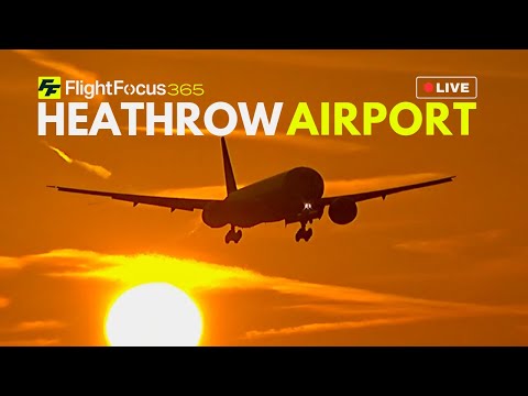 Heathrow Airport Live - Friday 24th October 2025