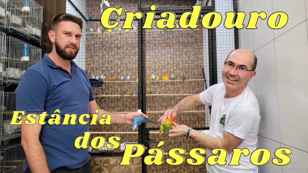 Edivaldo Siqueira,especialista em Agapornis Fischer.