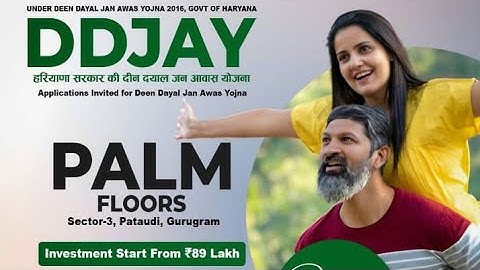 Palm Floors Pataudi SEC-3 Luxury 8700432325 #DDJAY #LOAN #pataudi 