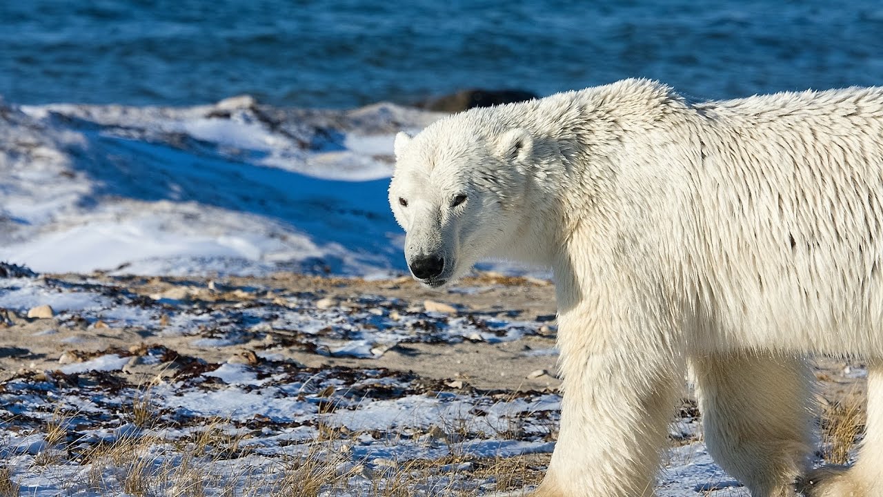 klimawandel doku klimawandel doku