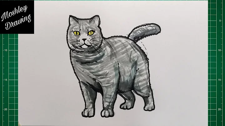 Watch the video about How to Draw a British Shorthair Cat