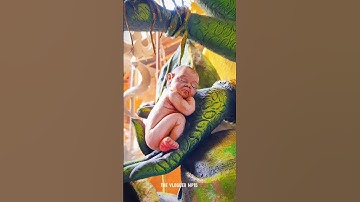 Mata Rani 😍🙏🏻✨sagar mp vishwakarma art sagar||the vlogger mp15 #sagarmp #navratri #matarani