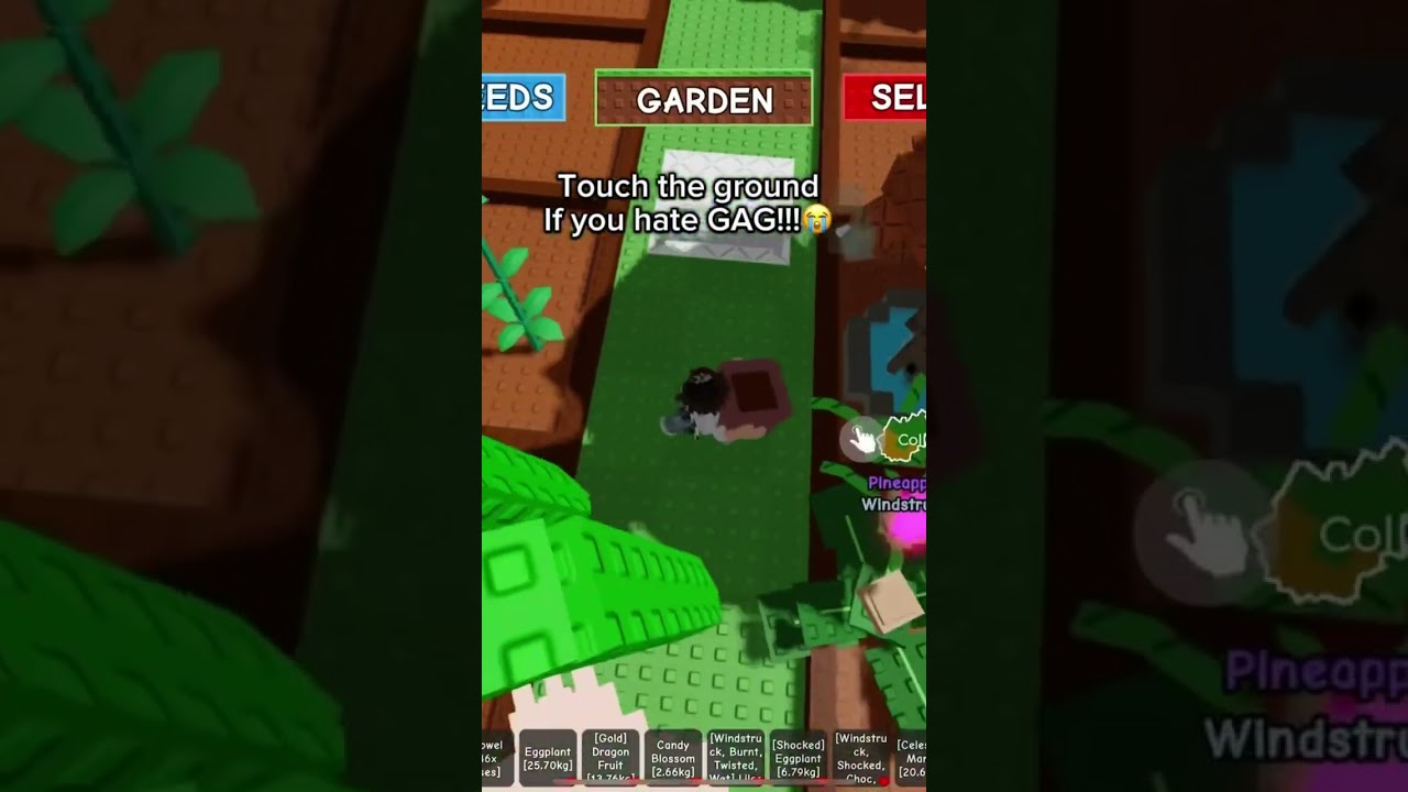 Touch the ground if you hate grow a garden 🪴 