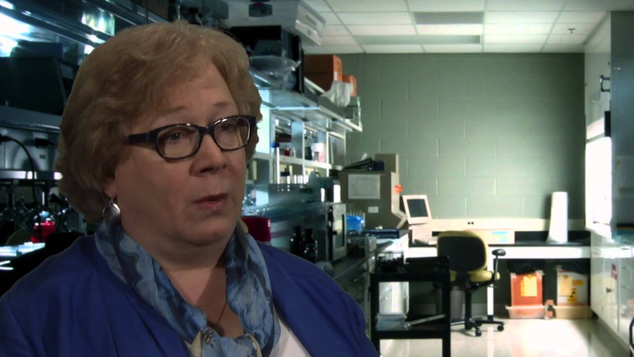Is There Enough Time For Humans to have Evolved from Apes? Dr. Ann Gauger Answers