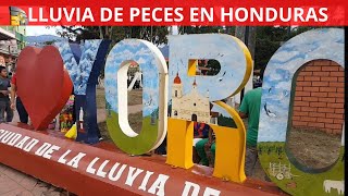 La lluvia de peces de Yoro: un fenómeno único en Honduras