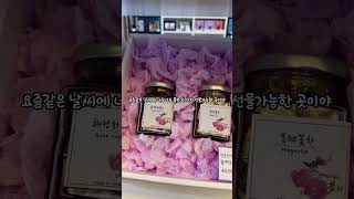 전북 기념품은 전주한옥마을 100선판매관에서! #shorts
