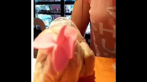 Easy way to make fondant ruffles