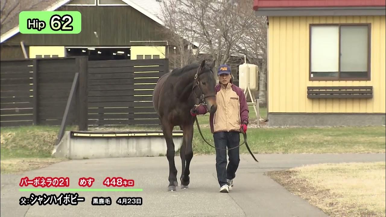 Hip.62 バーボネラの21 父:シャンハイボビー YouTube