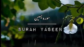 Surah Yaseen with rain sound || Omar Hisham || Relaxing Quran Recitation