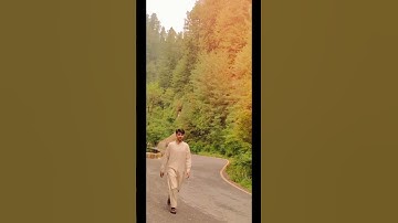 my first vlog #firstvlog #shortsvideo #shortsfeed #motion #vlog #myfirstvlog #shorts #shortvideo #sh