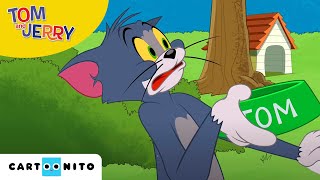 Tom und Jerry | VogelbadBlues | Cartoonito