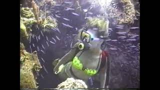 Scuba Woman Exploring Coral Reef 1990S