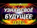 ТЕЛЕЦ. УЗНАЙ СВОЕ БУДУЩЕЕ! НОЯБРЬ 2020. 100% ПРЕДСКАЗАНИЕ ТАРО ОНЛАЙН! ГАДАНИЕ НА КАРТАХ.