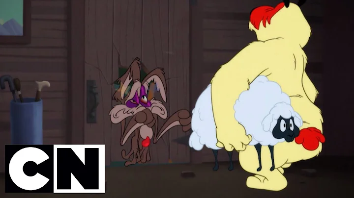 Looney Tunes | Ralph Wolf & Sam Sheepdog | Cartoon...