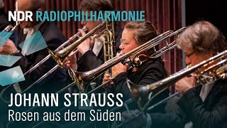 Johann Strauss: "Rosen aus dem Süden" mit Andrew Manze | NDR Radiophilharmonie