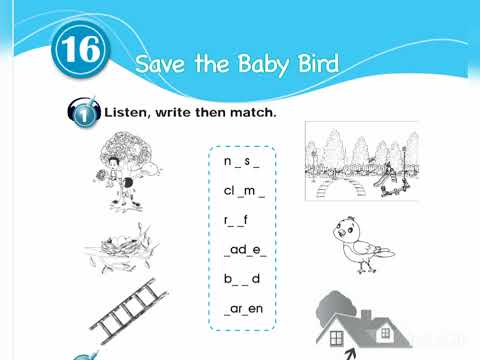 الصف الثالث سلسلة إيمار كتاب الأنشطة الوحدة 16 التمرين 1