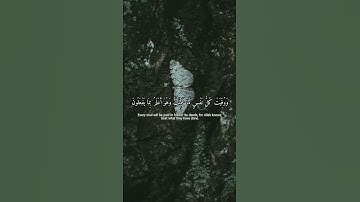 ووفيت كل نفس ما عملت | الشيخ عبد البديع غيلان  | تلاوة جميلة #sorts