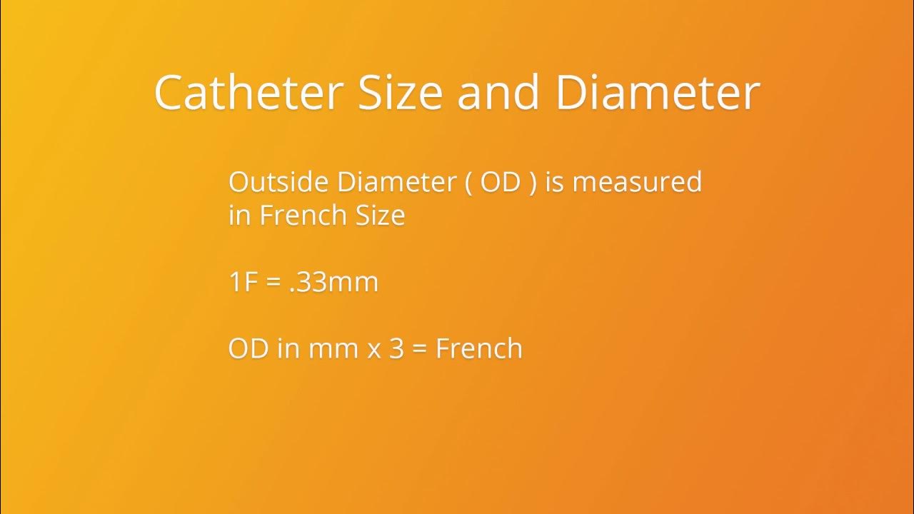 The Basics of Sheaths and Catheters YouTube