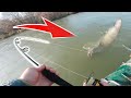 MEGA!! Monsterfisch zieht uns durch Fluss! Unvergesslicher Angeltag!